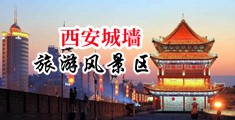 干骚货…好舒服视频中国陕西-西安城墙旅游风景区